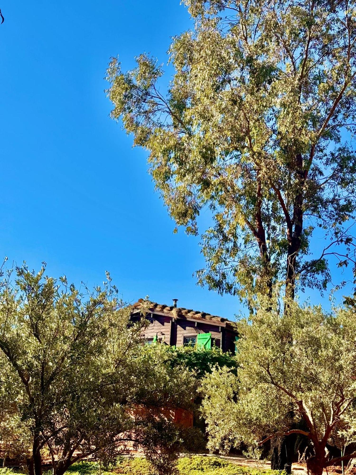 Soo Bin Vila Bine el Ouidane Exterior foto